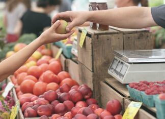 uproszczona ewidencja sprzedaży działalność nierejestrowana