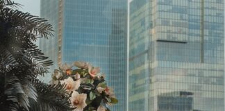 działalność gospodarcza etat