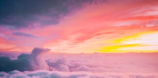 zasada pareto przykłady