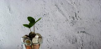 jak zarobić pieniądze