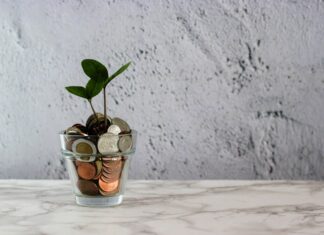 jak zarobić pieniądze