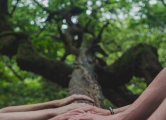 motywacja wewnętrzna w pracy