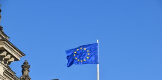 firma w unii europejskiej