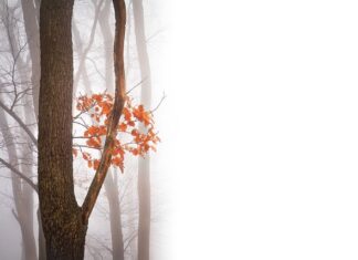 Jak wyciszyć negatywne emocje u dziecka?