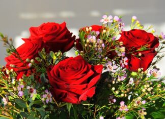 Jaki jest najdroższy telefon na świecie?