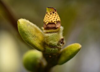 Co daje nam rozwijanie swoich zainteresowań?
