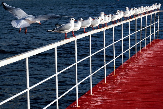 Ile jest poziomów świadomości? Ile jest poziomów świadomości?