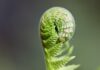 W czym się rozwijać? W czym się rozwijać?