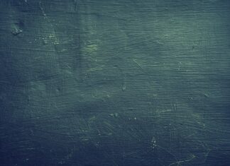 Kto opiniuje szkolny zestaw programów nauczania?