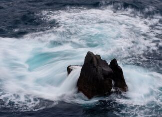 Ile spadnie cena iPhone 13 po premierze 14?