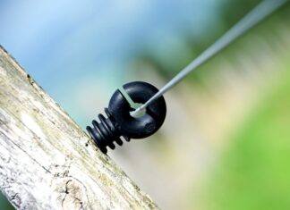 Ile Polaków jest na całym świecie?