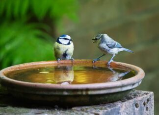 Jak rozwija się mowa dziecka?