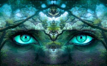 Na czym polega świadomość kompetencji? Na czym polega świadomość kompetencji?